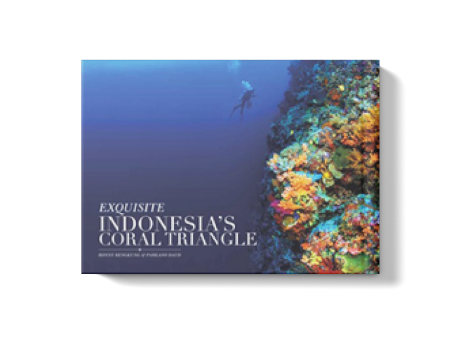 Exquisite Indonesia’s Coral Triangle