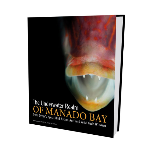 The Underwater Realm Of Manado Bay